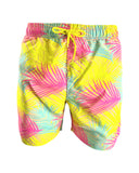 K4708-Multi Palms