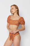 B2102-Bric/Wht Dot