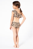K4711-Leopard