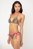B2804 - Cheetah