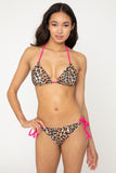 B2804 - Cheetah