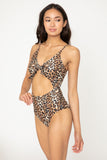 F1805-Cheetah