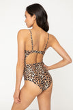 F1805-Cheetah