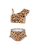 K4711-Leopard