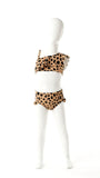 K4711-Leopard