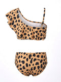 K4711-Leopard